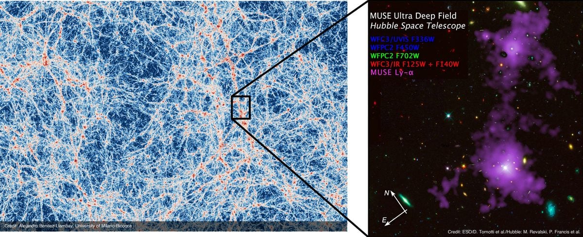 Davide Tornotti's project image
