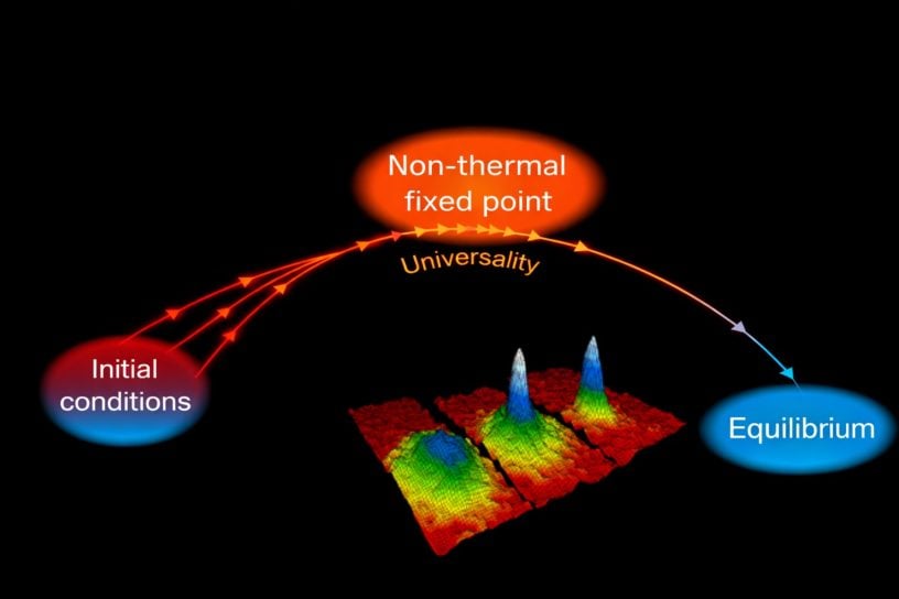 Matisse de Lescluze's project image