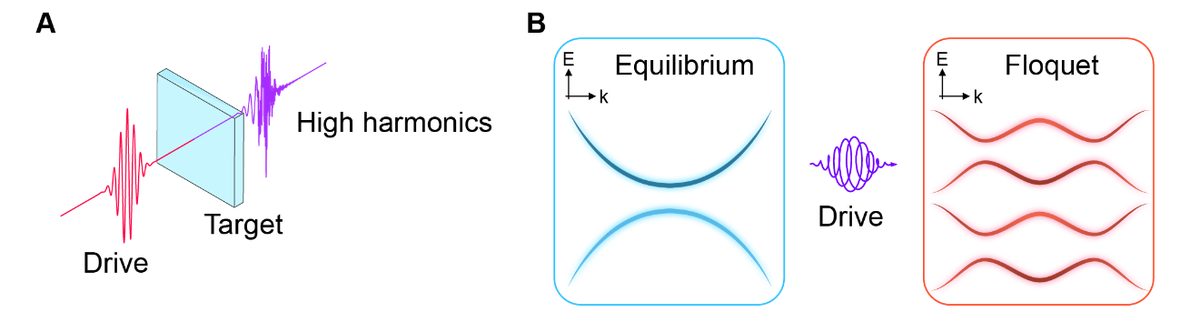 Mingyao Guo's project image
