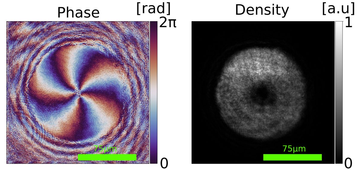 Paula Calizaya Cabrera's project image